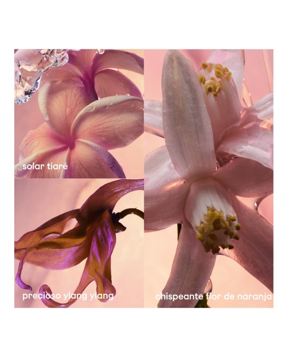 Eau de Parfum femenino Olympéa Solar Rabanne