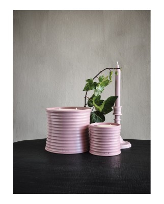 Vela aromática Home Scents Ivy L Loewe