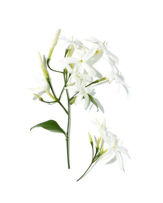 Eau de Toilette Ô de Lancôme 125 ml Lancôme