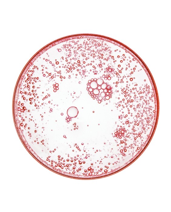 Contorno de ojos antiedad Revitalift Laser con Pro-xylane L'Oréal Paris