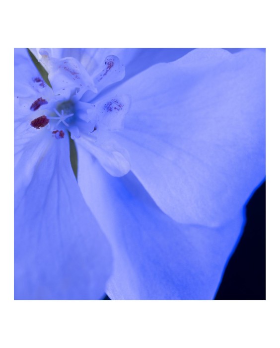 Eau de Parfum Y Le Parfum 60 ml Yves Saint Laurent