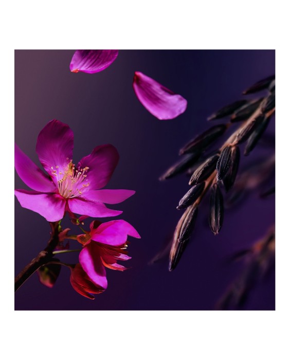 Exfoliante de azúcar rosa The Ritual of Yozakura Pink Sugar Scrub 250 g Rituals