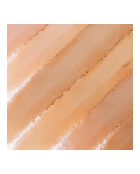 Sensai Total Finish Foundation Cellular Perfomance Пудра