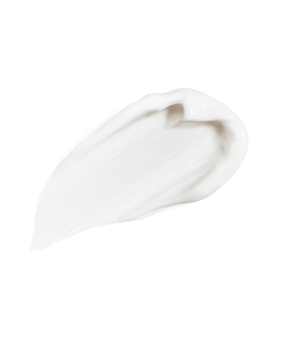 Crema Antiedad All day all year 50 ml Sisley