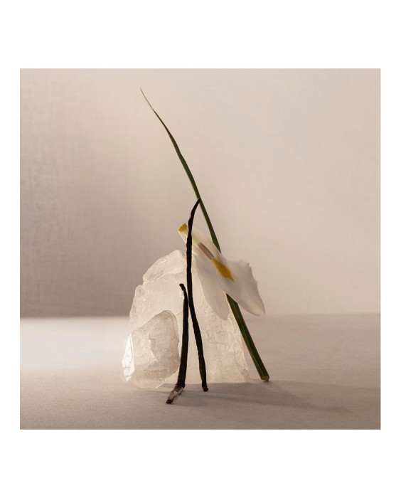 Eau de Parfum Terracota Musk 120 ml Adolfo Dominguez