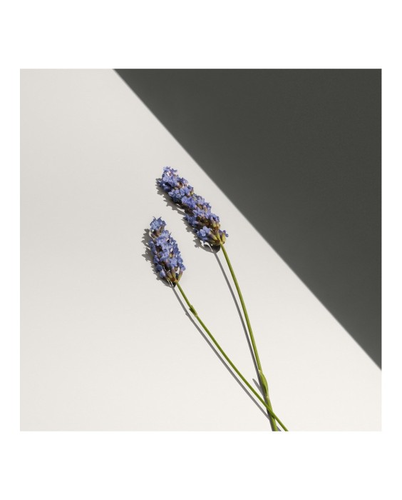 Eau de Toilette Defy 100 ml Calvin Klein