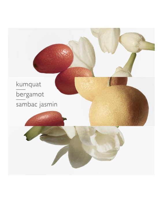 Hermès Le Jardin de Monsieur Li туалетная вода