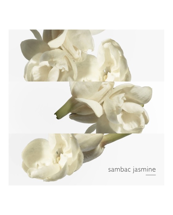 Hermès Le Jardin de Monsieur Li туалетная вода