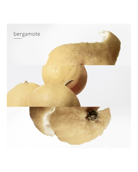 Hermès Le Jardin de Monsieur Li туалетная вода