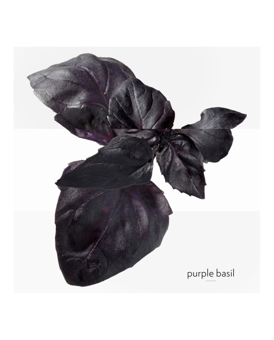 Hermès Eau de Basilic Pourpre одеколон