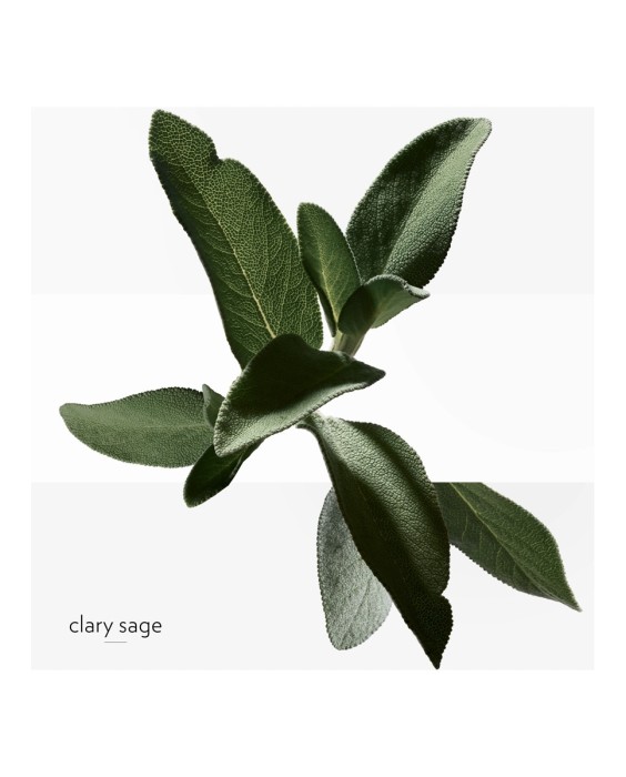 Hermès H24 150мл дезодорант-спрей