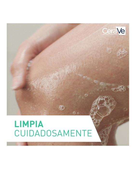 Gel Limpiador Espumoso Cerave