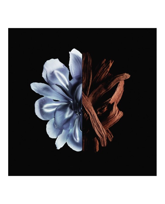 Eau de Parfum Reserve Privée Gentleman 100 ml Givenchy