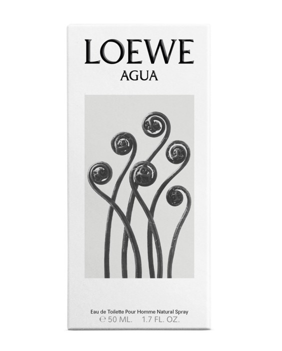 Loewe Agua туалетная вода