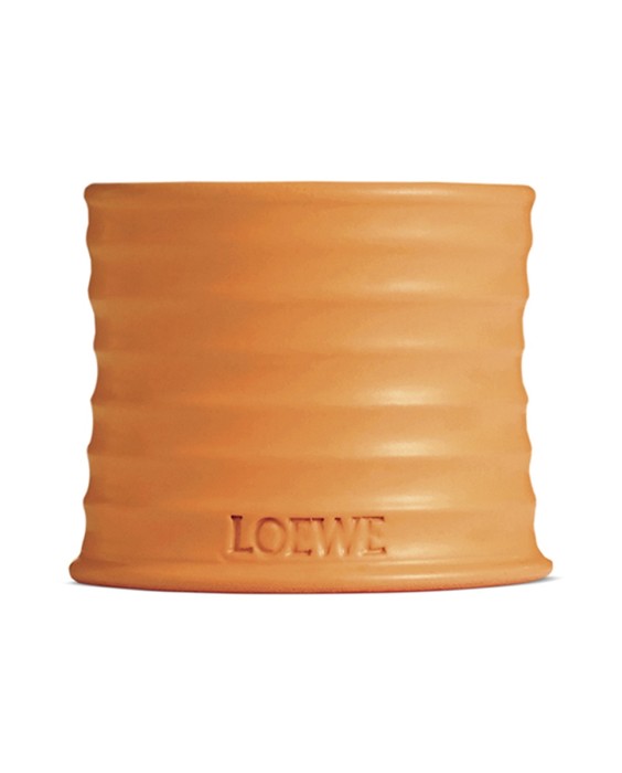 Vela Candle S Orange Blossom Loewe