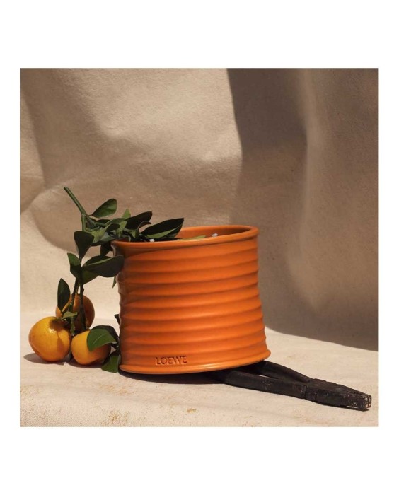 Vela Candle S Orange Blossom Loewe