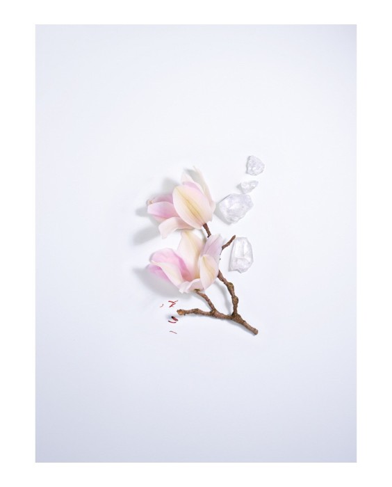 Eau de Parfum Maison Lancôme Magnolia Rosae 100 ml Lancôme