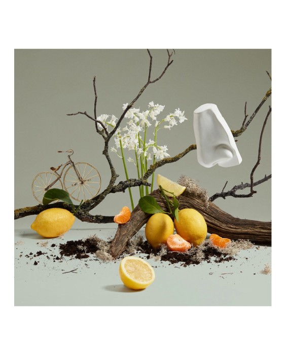 Penhaligon's Quercus 500мл мыло для рук и тела