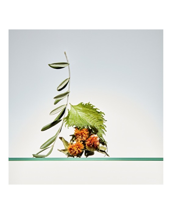 Sérum Omega Shiso Replenishing Serum Zelens [5th Essence]