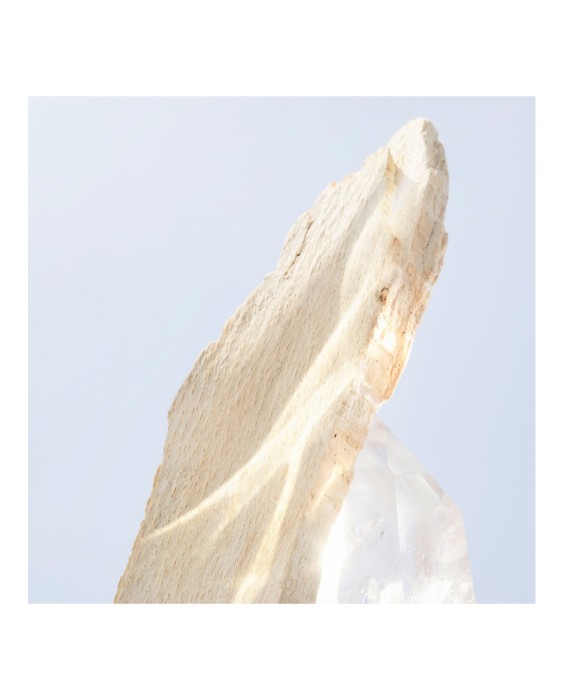 Eau de Toilette Omnia Crystalline 100 ml Bvlgari