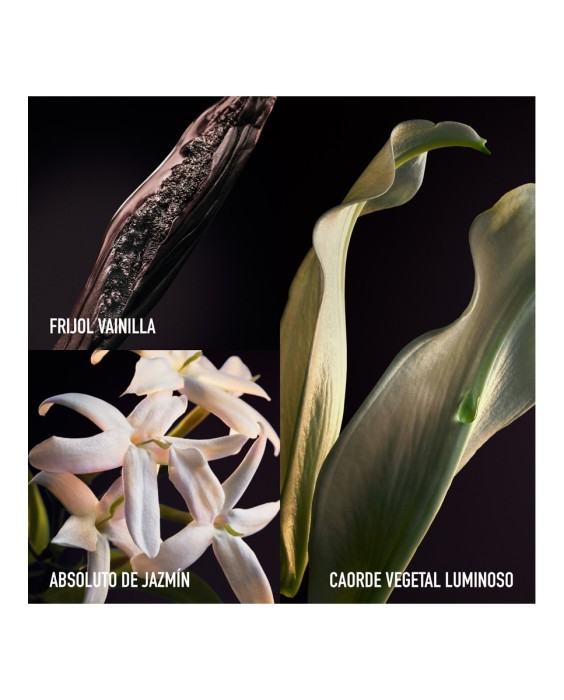 Eau de Parfum Olympéa Parfum Rabanne