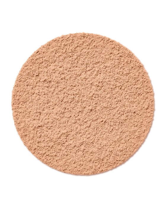 Polvos compactos Healthy Mix polvos Bourjois