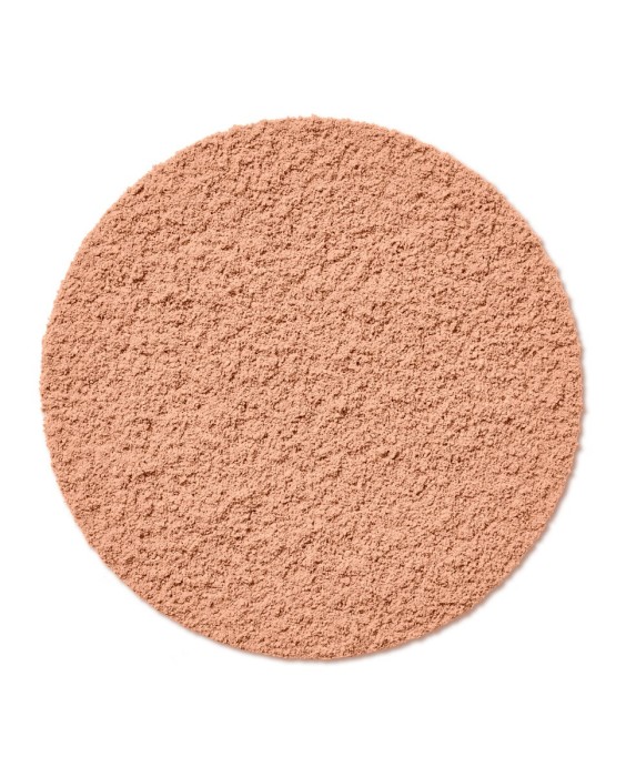 Polvos compactos Healthy Mix polvos Bourjois