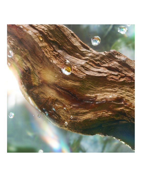 Charlotte Tilbury Magic Energy 10мл Парфюмерная вода