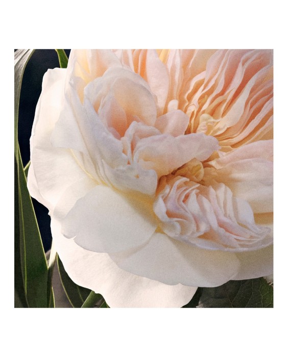 Chloé Signature парфюмерная вода