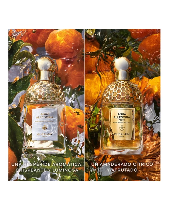 Eau de Parfum Aqua Allegoria Mandarine Basilic Forte Recargable 125 ml Guerlain