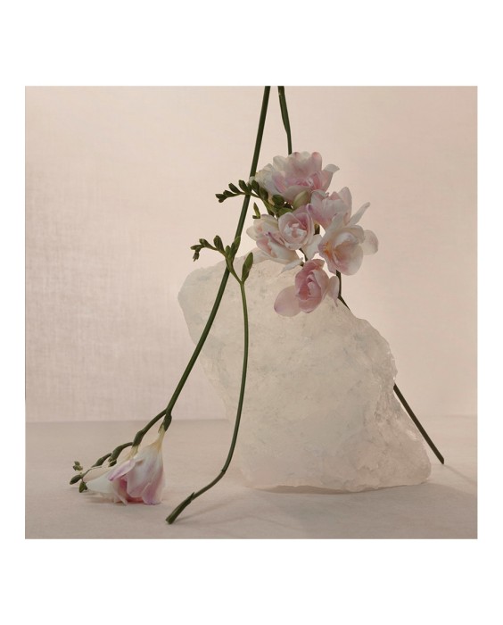 Eau de Parfum Nude Musk 120 ml Adolfo Dominguez