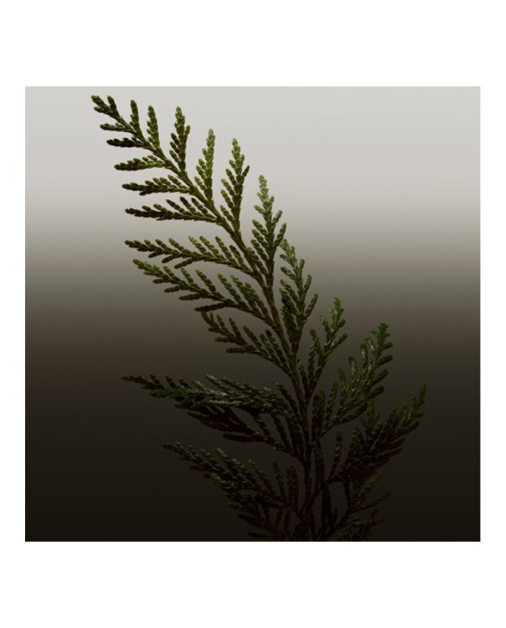 Eau de Toilette Hero 200 ml Burberry