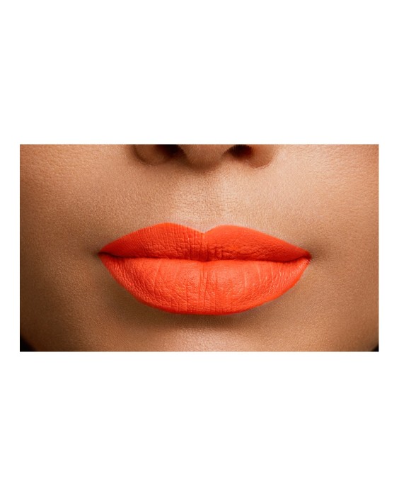 Barra de Labios Color Riche L'Oréal Paris