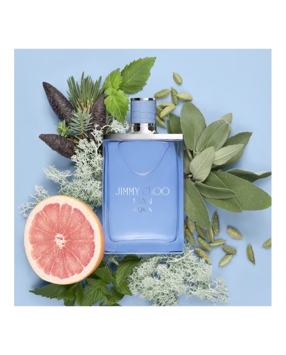 Eau de Parfum Man Aqua 100 ml Jimmy Choo
