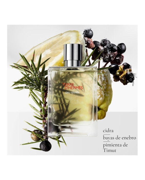 Hermès Terre D'Hermès Eau Givrée парфюмерная вода