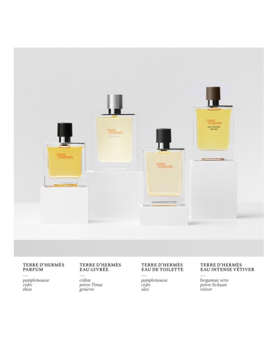 Hermès Terre D'Hermès Eau Givrée парфюмерная вода