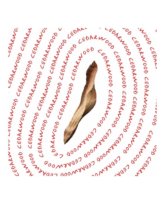 Eau de Toilette CK Everyone 200 ml Calvin Klein