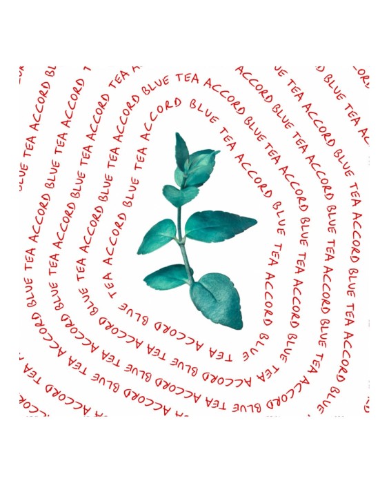 Eau de Toilette CK Everyone 200 ml Calvin Klein