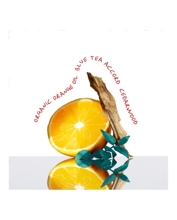 Eau de Toilette CK Everyone 200 ml Calvin Klein