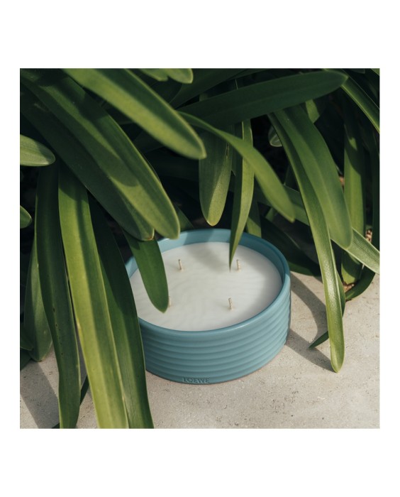 Vela Aromática de Exterior Geranium Loewe