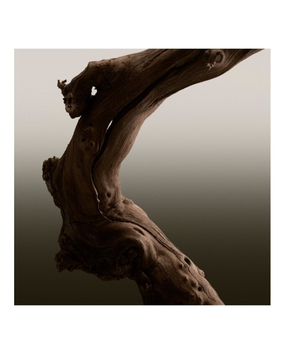 Eau de Parfum Hero 200 ml Burberry