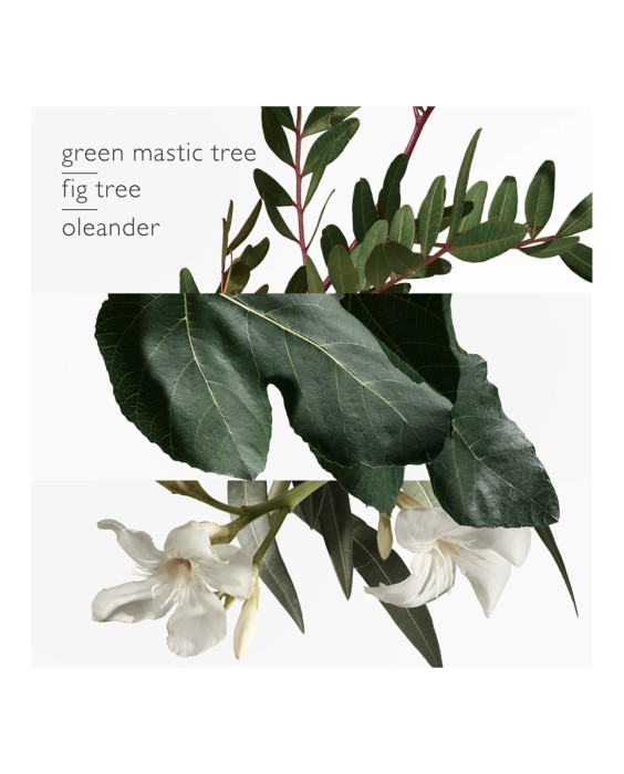 Hermés Un Jardin En Méditerranée туалетная вода