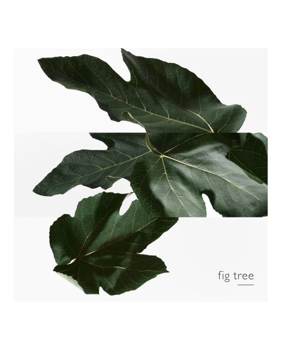 Hermés Un Jardin En Méditerranée туалетная вода