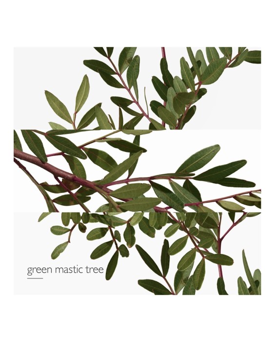 Hermés Un Jardin En Méditerranée туалетная вода