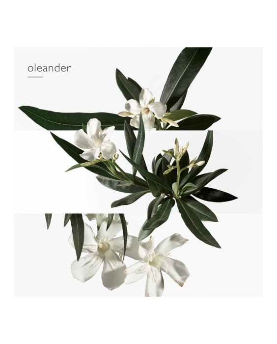 Hermés Un Jardin En Méditerranée туалетная вода