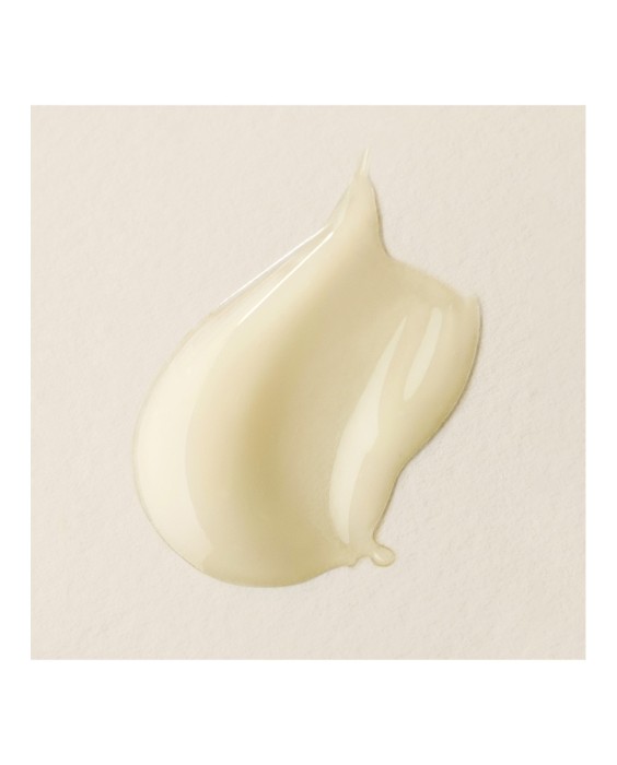 Suero con Antiarrugas Activo Plantscription Wrinkle 50 ml Origins