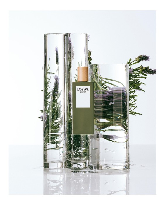 Loewe Esencia туалетная вода