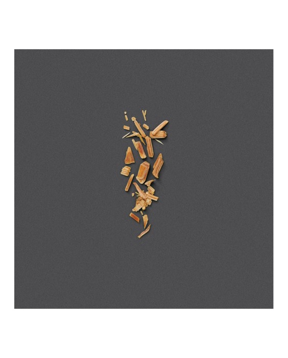 Eau de Parfum Gucci The Alchemist's Garden The Voice of The Snake 100 ml  Gucci