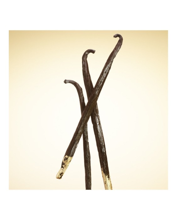 Eau de Parfum Recargable Mugler Alien Goddess 60 ml Mugler