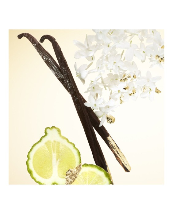 Eau de Parfum Recargable Mugler Alien Goddess 60 ml Mugler